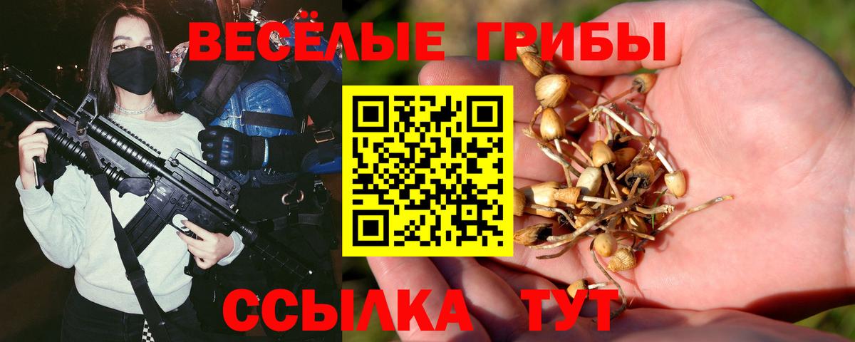 Галлюциногенные грибы Magic Shrooms  Галлюциногенные грибы MAGIC MUSHROOMS  Вход с VPN  Ярцево 