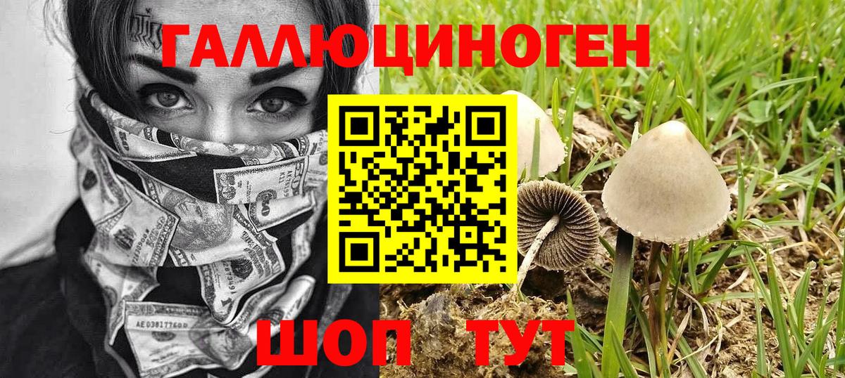 Псилоцибиновые грибы прущие грибы Ярцево